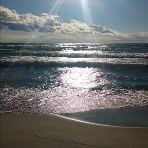 Absolutely Priceless🧞‍♀️🐳🐞💖